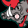 Warthogs