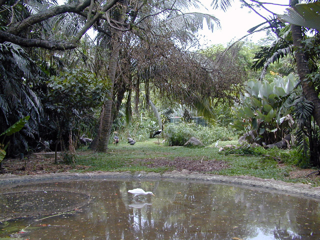 Jurong Bird Park 12