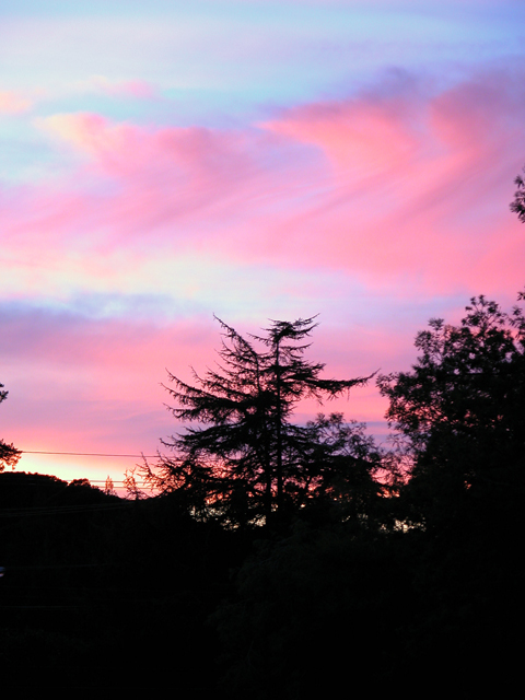 Sunset 2003 5