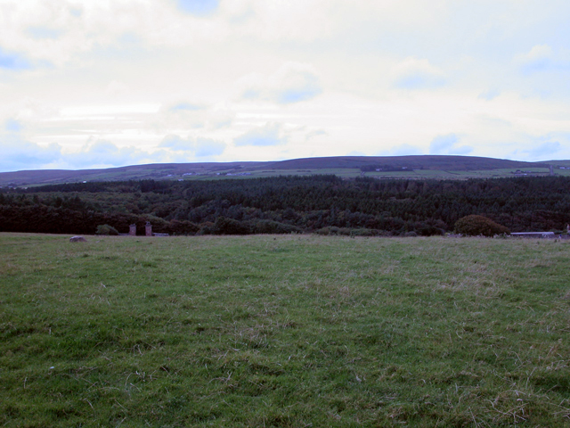 Downhill House 4