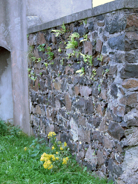 Downhill House 10