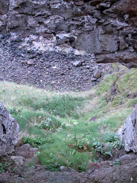 Dunluce Castle 17