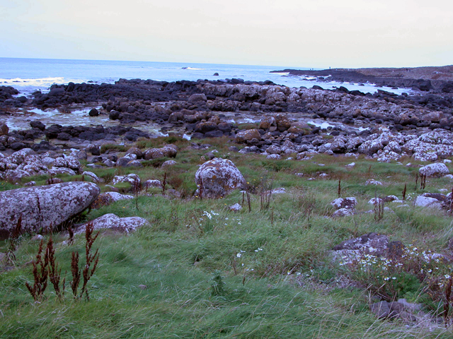 Giant's Causeway 6