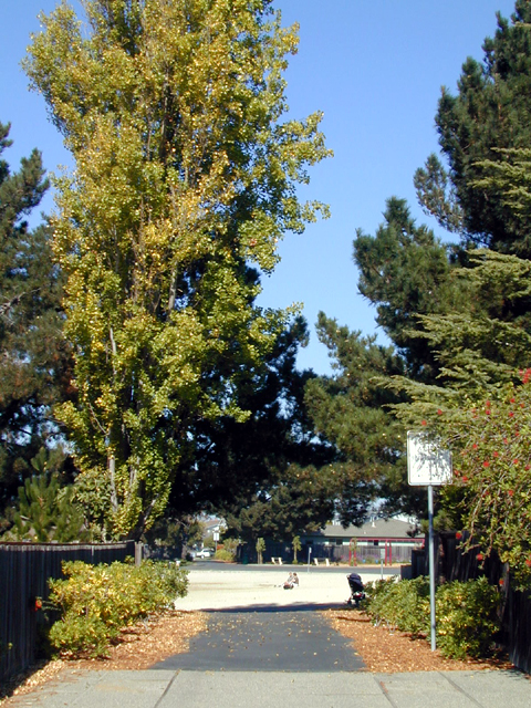 Foster City 2002 15