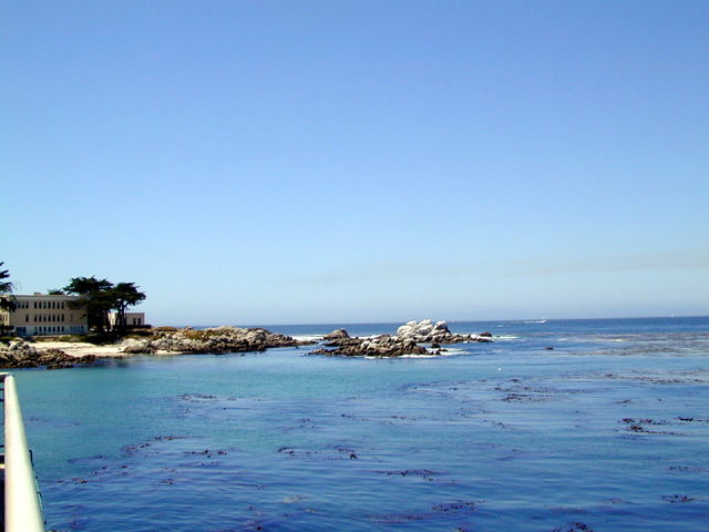 Monterey Bay Aquarium May 2001 7