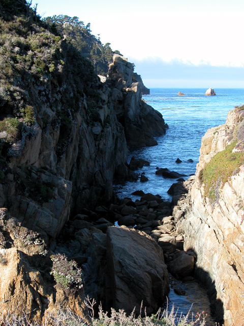 Point Lobos December 2004 1