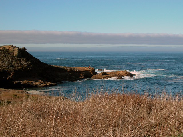 Point Lobos December 2004 8