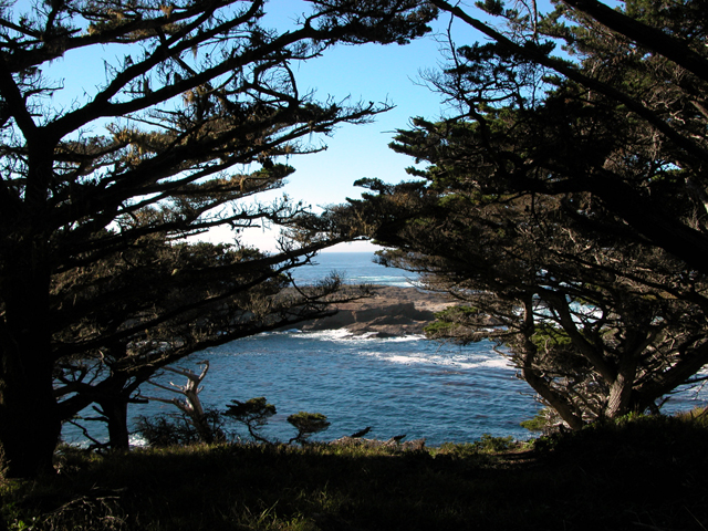 Point Lobos December 2004 15
